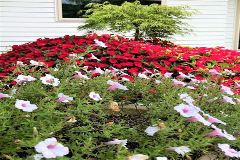 Photo of property in 19 Riverbank Drive, Kerikeri, 0230