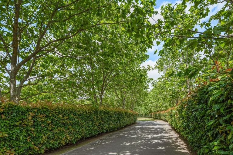 Photo of property in 7 Dry Hills Rise, Riverlands, Blenheim, 7274