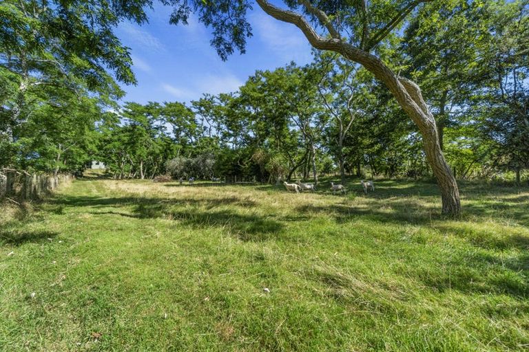 Photo of property in 1 Paratu Road, Richmond Downs, 3475