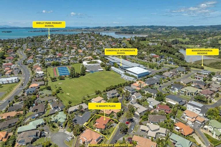 Photo of property in 16 Bronte Place, Somerville, Auckland, 2014