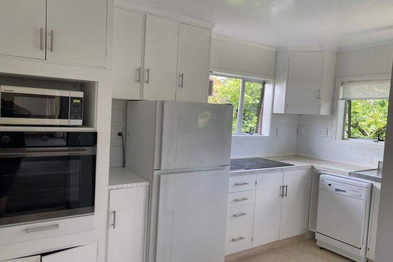 Photo of property in 13 Richard Farrell Avenue, Remuera, Auckland, 1050