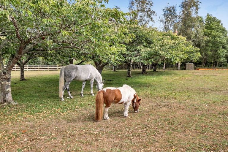 Photo of property in 48a Simpson Road, Westmere, Whanganui, 4574