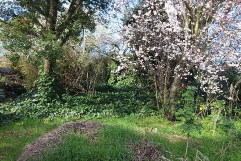 Photo of property in 9 Opie Street, Waimate, 7924