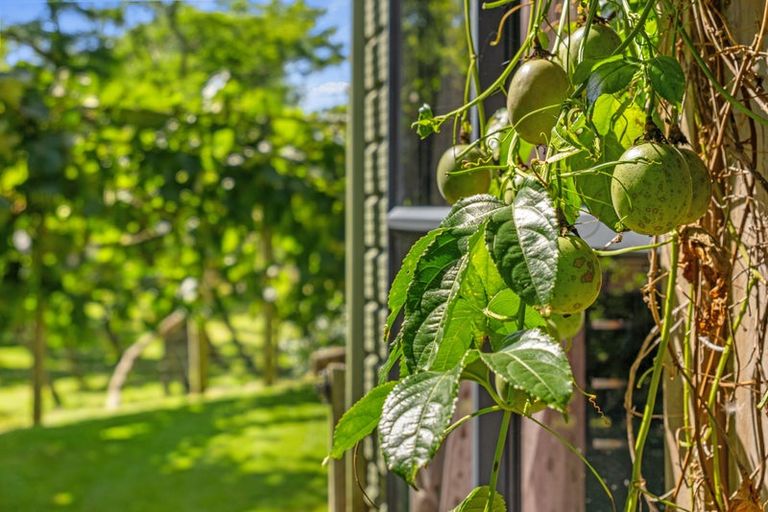 Photo of property in 1 Paratu Road, Richmond Downs, 3475