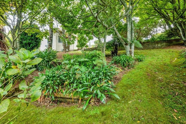 Photo of property in 3 Morgan Lane, Ferndale, New Plymouth, 4310