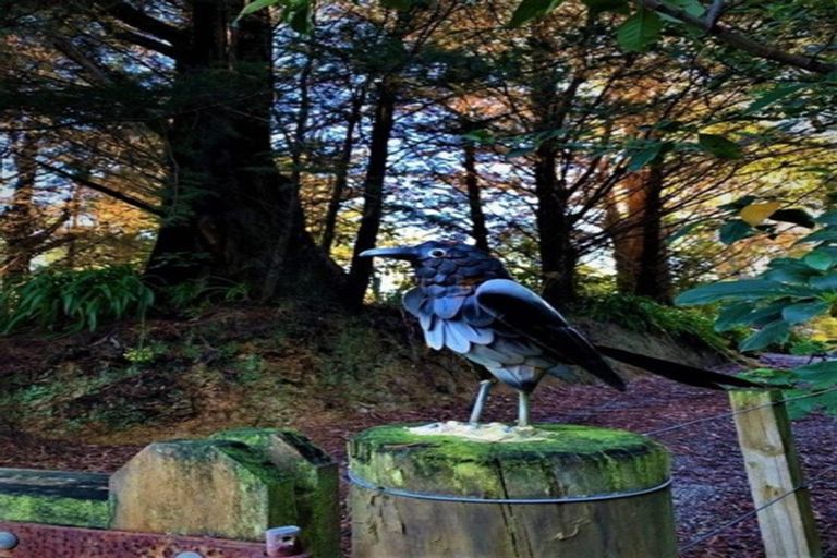 Photo of property in 3428 Ngahape Road, Ngahape, Masterton, 5890