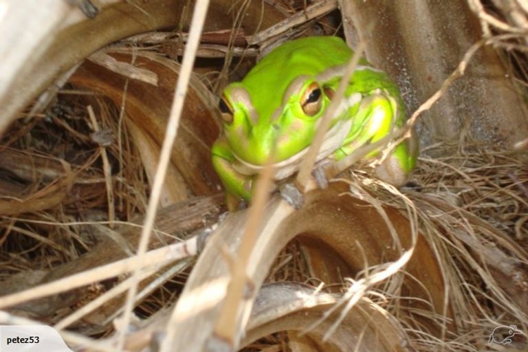 Photo of property in 119d Maraetai Drive, Maraetai, Auckland, 2018