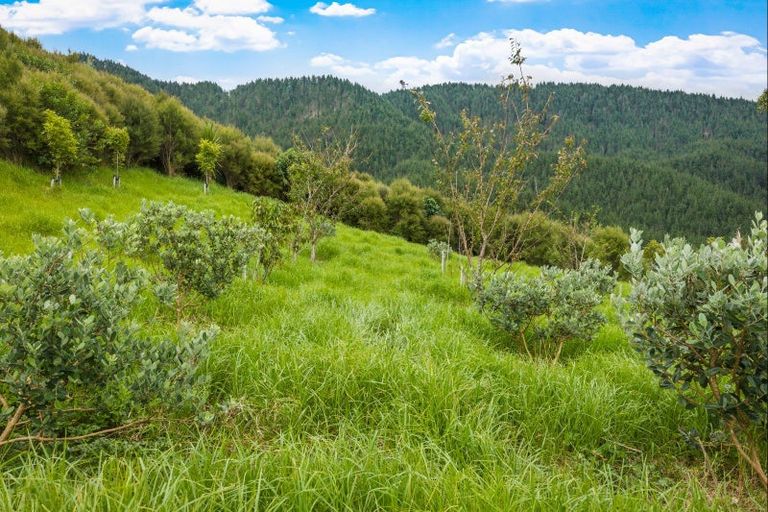 Photo of property in 960c Whangaripo Valley Road, Whangaripo, Wellsford, 0972