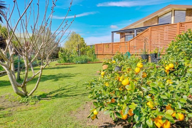 Photo of property in 7 Olive Grove, Edgecumbe, 3120