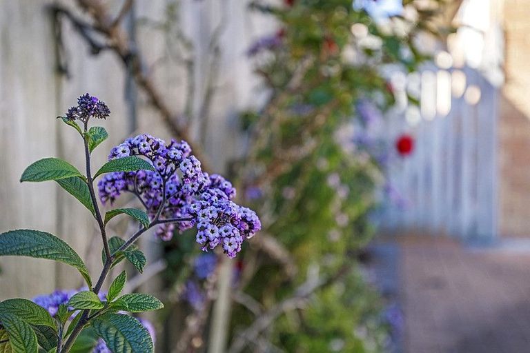 Photo of property in 11 Angel Way, Stanmore Bay, Whangaparaoa, 0932