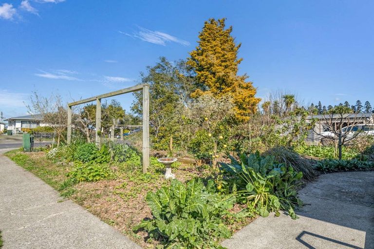 Photo of property in 15 Rimu Street, Edgecumbe, 3120