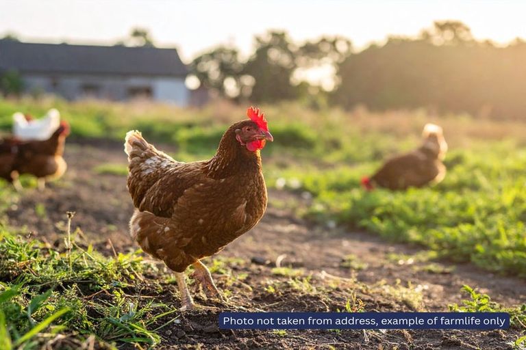 Photo of property in 157 Newman Road, Stillwater, Silverdale, 0993