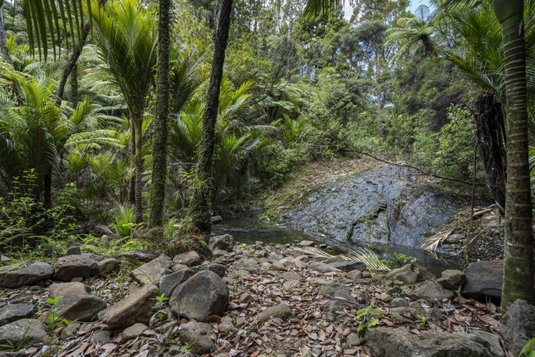 Photo of property in 40 Lone Kauri Road, Karekare, New Lynn, 0772