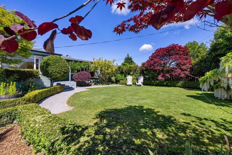 Photo of property in 11 Keats Terrace, Leamington, Cambridge, 3432