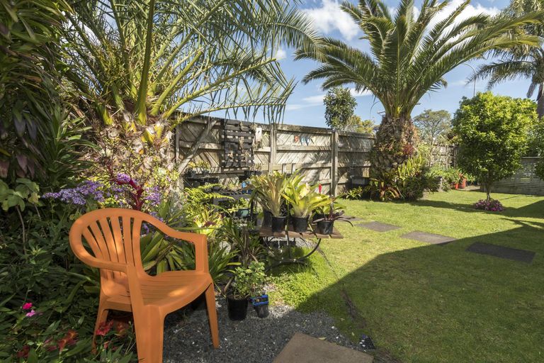 Photo of property in 230 Maungatapu Road, Maungatapu, Tauranga, 3112