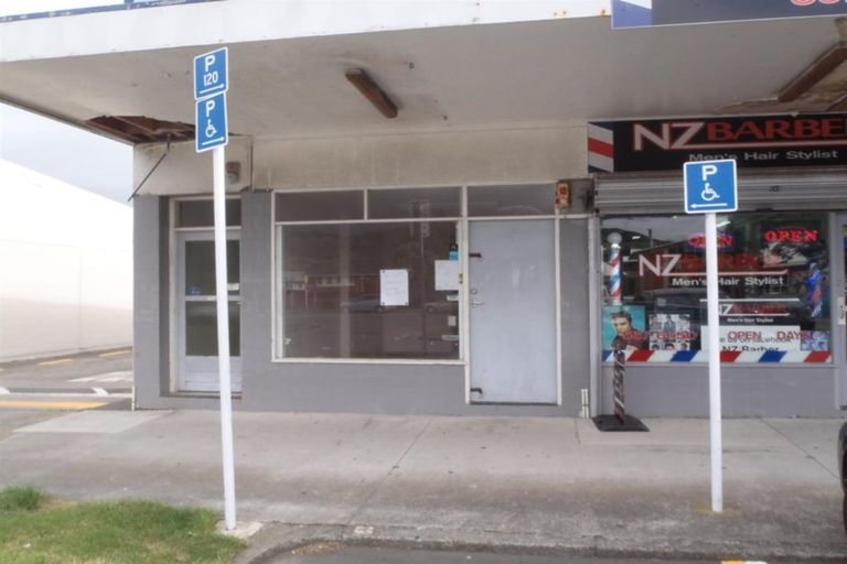 Photo of property in 45a Treadwell Street, Springvale, Whanganui, 4501