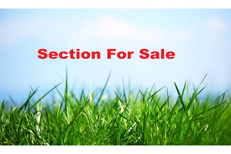 Photo of property in 18 Sandspit Road, Waiuku, 2123