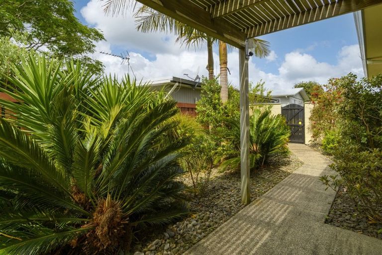 Photo of property in 424b Maungatapu Road, Maungatapu, Tauranga, 3112