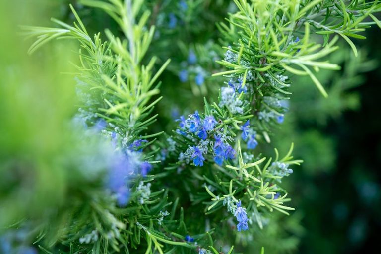 Photo of property in 77 The Parade, Paekakariki, 5034