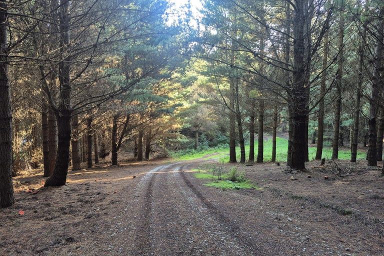 Photo of property in 4894 Hampden-palmerston Road, Shag Point, Palmerston, 9482