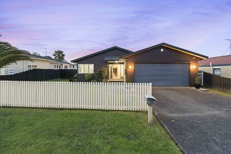 Photo of property in 75 Kamara Road, Glen Eden, Auckland, 0602