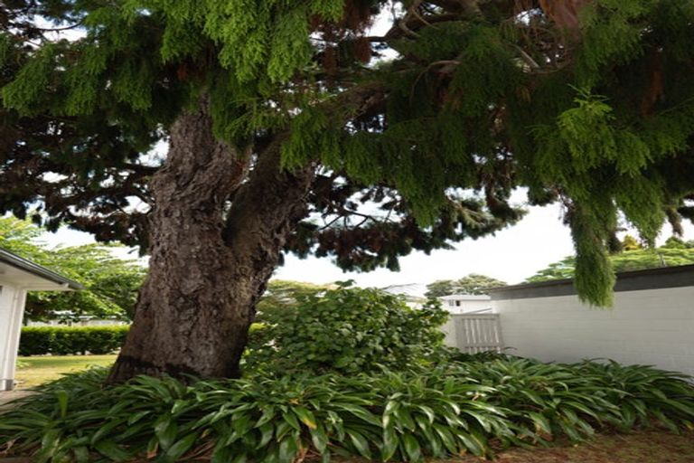 Photo of property in 114 Pahiatua Street, Hokowhitu, Palmerston North, 4410