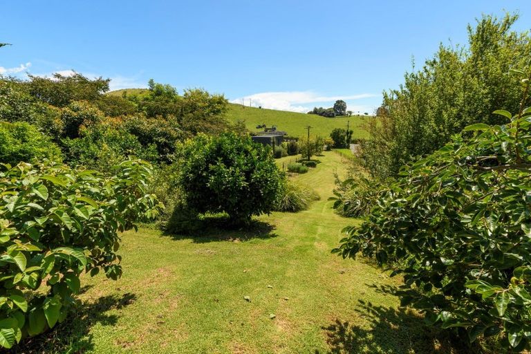 Photo of property in 29 Whakamarama Road, Whakamarama, Tauranga, 3179