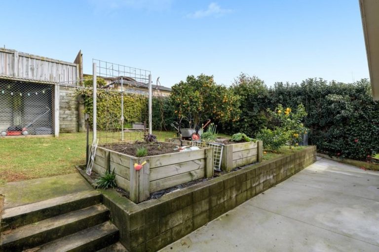 Photo of property in 53 Freyberg Street, Otumoetai, Tauranga, 3110