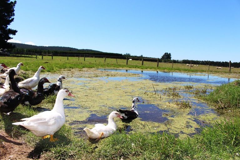 Photo of property in 106 Davis Road, Cust, Rangiora, 7471