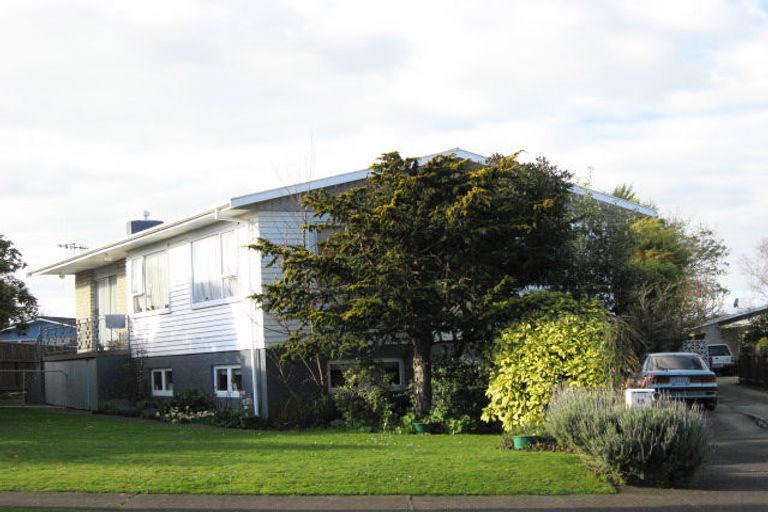 Photo of property in 15 Burn Street, Levin, 5510