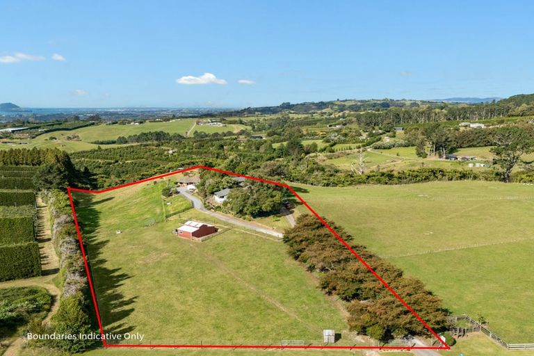 Photo of property in 220 Ross Road, Whakamarama, Tauranga, 3179