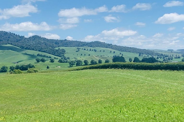 Photo of property in 231b Morgan Road, Matamata, 3472