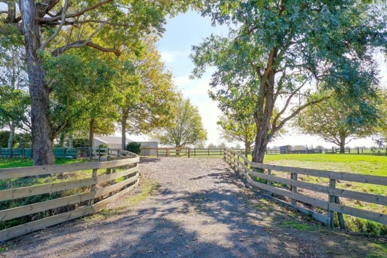 Photo of property in 253a East Bank Road, Edgecumbe, Whakatane, 3193