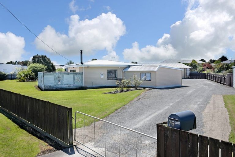 Photo of property in 75 Seabury Avenue, Foxton Beach, Foxton, 4815