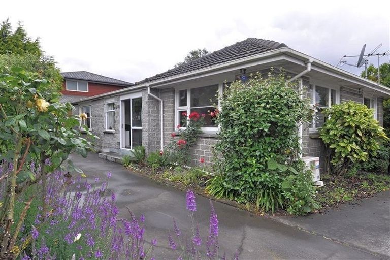 Photo of property in 36 Coniston Avenue, Ilam, Christchurch, 8041
