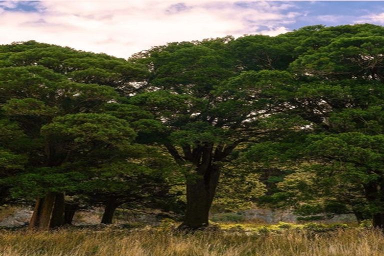 Photo of property in 2/298 Bealey Avenue, Christchurch Central, Christchurch, 8013