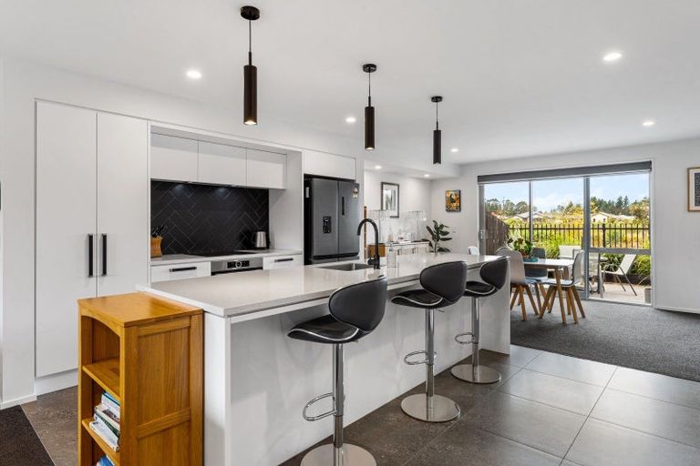 Photo of property in 156 Metehau Street, Marshland, Christchurch, 8083