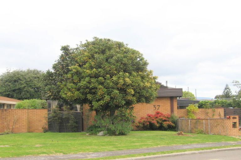 Photo of property in 37 Waitui Grove, Mount Maunganui, 3116