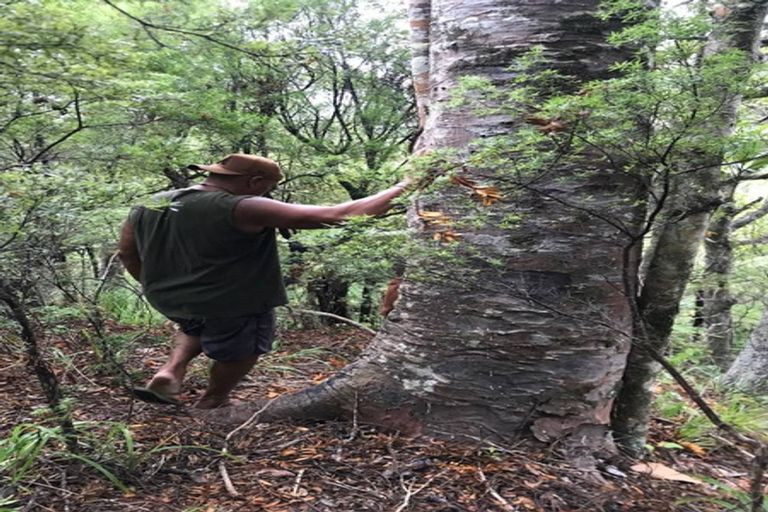 Photo of property in 31 Waitorupai Way, Matapouri, Whangarei, 0173