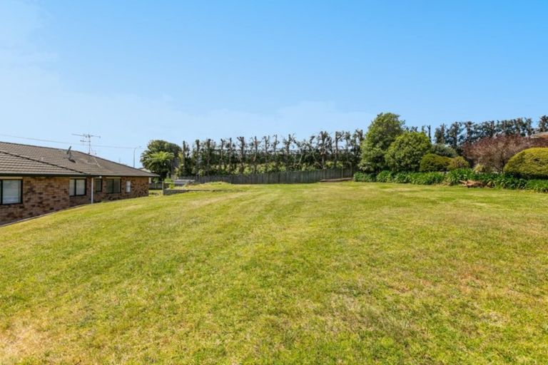 Photo of property in 7 Corwen Avenue, Hairini, Tauranga, 3112