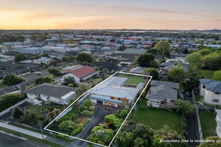 Photo of property in 115 Winchester Street, Levin, 5510