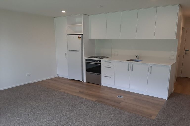 Photo of property in 118 Salisbury Street, Ashhurst, 4810