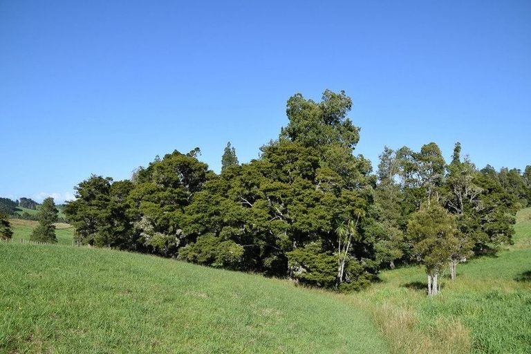 Photo of property in 34 Prictor Road, Wellsford, 0972