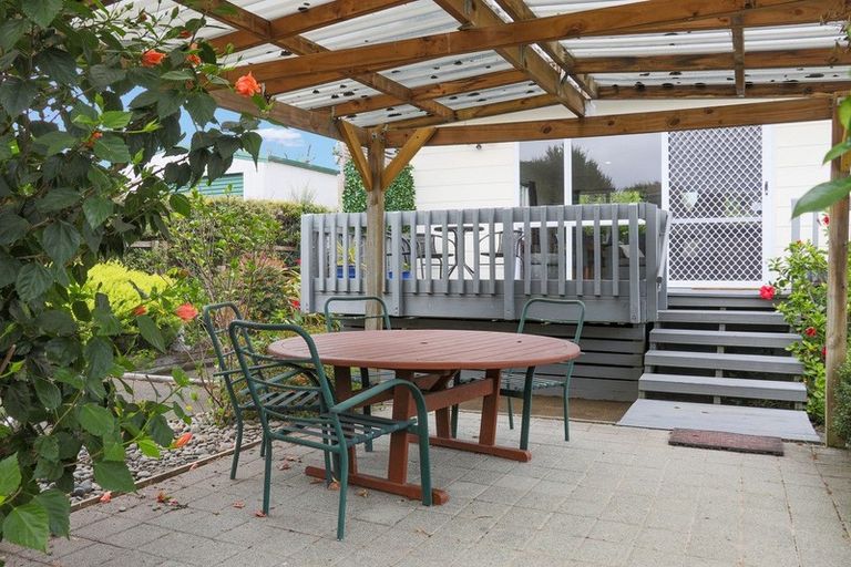 Photo of property in 31a Bridge Street, Whakatane, 3120