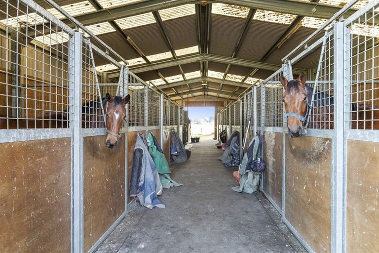 Photo of property in 353 Victoria Road, Pukemoremore, Cambridge, 3493