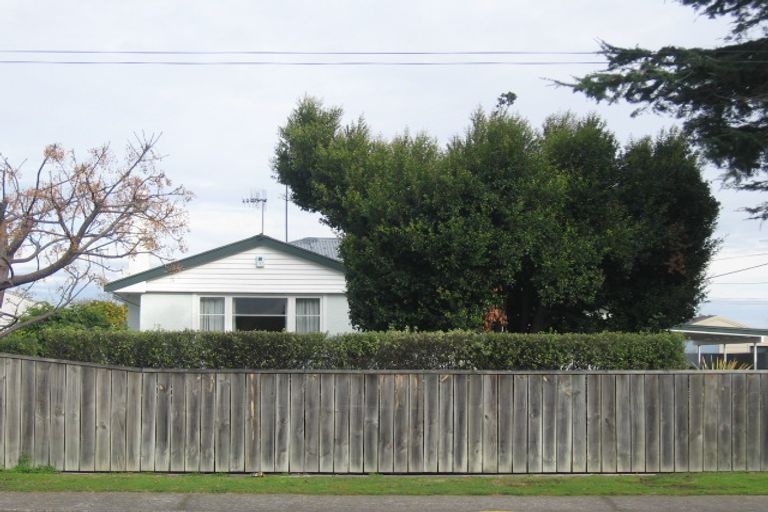 Photo of property in 610 Williams Street, Mahora, Hastings, 4120