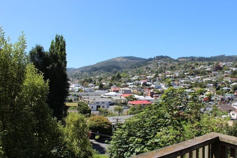 Photo of property in 46 Buccleugh Street, North East Valley, Dunedin, 9010