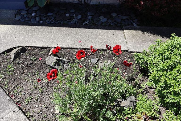 Photo of property in 27 Walbrook Crescent, Oamaru North, Oamaru, 9400