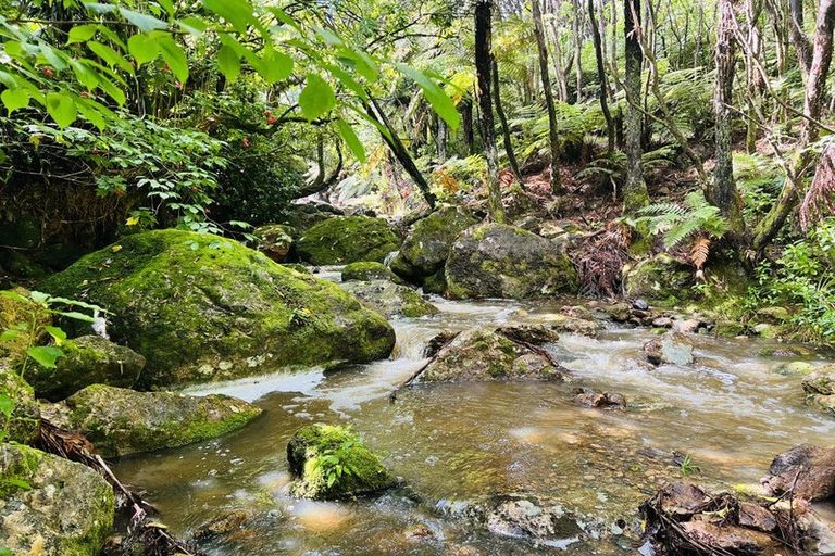 Photo of property in 275 Lillis Lane, Coromandel, 3506