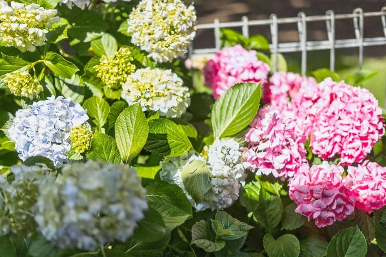 Photo of property in 175a Centreway Road, Orewa, 0931